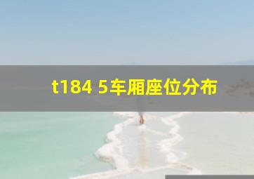 t184 5车厢座位分布